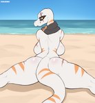 anthro back_boob beach big_breasts big_butt black_sclera breasts butt female looking_at_viewer looking_back looking_back_at_viewer mostly_nude outside pose sand scarf scarf_only seaside smile smiling_at_viewer solo water white_body yellow_eyes cooliehigh black_betty_(meme) valora_varanus lizard reptile scalie 2022 hi_res meme