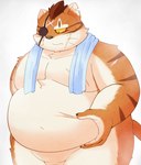 anthro belly eye_patch eyewear featureless_crotch fupa fur male musclegut muscular nude orange_body orange_fur overweight overweight_male pinching_belly solo striped_body striped_fur stripes marumu_5656 dragon_quest square_enix purrgatroyd domestic_cat felid feline felis mammal hi_res