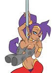 5_fingers areola breasts duo female fingers hair humanoid_pointy_ears long_hair nipples not_furry one_eye_closed ponytail purple_hair mystic_dong shantae_(series) wayforward shantae humanoid