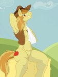 anthro blue_sky blush cutie_mark fur grass green_eyes hand_behind_head hay hay_bale male medical_sling plant sitting_on_hay_bale sky smile solo tail yellow_body yellow_fur pandottermon friendship_is_magic hasbro my_little_pony braeburn_(mlp) equid equine horse mammal pony 2015 3:4 hi_res