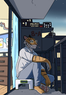 anthro balcony bottomwear brown_body brown_fur city city_background cityscape clothed clothed_anthro clothed_male clothing detailed_background doorway drugs electronics evening eyewear feet fingers fur furniture glasses grey_bottomwear grey_clothing grey_pants grey_shirt grey_topwear humanoid_feet humanoid_hands male marijuana markings orange_body orange_fur outside pants pawpads plantigrade round_glasses shirt sitting sky smoking smoking_marijuana solo star starry_sky stool striped_markings stripes tan_body tan_fur television toes topwear jrjresq felid mammal pantherine tiger colored hi_res shaded