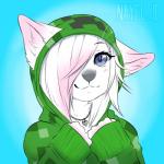 anthro blue_eyes clothed clothing creeper_hoodie female fur heart_symbol hoodie jewelry looking_at_viewer necklace simple_background smile solo topwear white_body white_fur nayel-ie microsoft minecraft mojang xbox_game_studios shirowretched canid canine fox mammal 1:1 2014 bust_portrait hi_res icon portrait