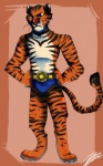 anthro blue_clothing blue_speedo blue_swimwear clothed clothing fur grumpy male orange_body orange_fur russian simple_background solo speedo stripes swimwear topless dreamworks madagascar_(series) vitaly_(madagascar)