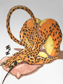 anthro ass_up big_breasts big_butt bottomwear breasts butt clothed clothing female huge_breasts huge_butt huge_hips huge_thighs loincloth loincloth_only muscular muscular_anthro muscular_female side_boob sleeping solo thick_thighs topless wide_hips hiverdose last_fables lieren_(last_fables) felid leopard mammal pantherine 3:4 hi_res traditional_media_(artwork)