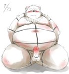 anthro balls belly bound erection genitals humanoid_genitalia humanoid_penis kemono male moobs navel nipples overweight overweight_anthro overweight_male penis rope simple_background solo white_background ibuki_haruno canid canine canis domestic_dog mammal 2011