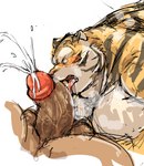 anthro balls belly blush bodily_fluids cum duo ejaculation erection genital_fluids genitals humanoid_genitalia humanoid_penis kemono licking male male/male oral penile penis penis_lick sex simple_background solo_focus tongue tongue_out white_background kotobuki third-party_edit felid mammal pantherine tiger 2021 censor_removal_edit hi_res