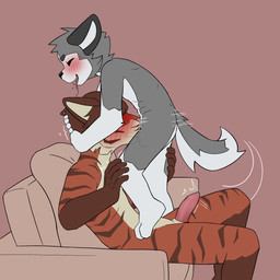 adult_on_young age_difference animal_genitalia anthro anthro_on_anthro anthro_penetrated anthro_penetrating anthro_penetrating_anthro blush blush_lines blushing_profusely bodily_fluids countershade_ears countershade_face countershade_torso countershading drooling drooling_tongue duo emanata erection face_fucking fellatio from_behind_position furniture genitals gloves_(marking) humping irrumatio larger_anthro larger_male larger_penetrated leg_markings male male/male male_anthro markings mating_grip mounting nude oral penetration penile penis penis_in_mouth pivoted_ears red_furniture saliva sex shaking sheath simple_background size_difference smaller_anthro smaller_male socks_(marking) sofa striped_markings stripes tail tail_motion tailwag teeth teeth_showing throbbing throbbing_penis thrust_lines thrusting tremble_lines trembling x-ray_view young young_anthro young_male young_penetrating minishadefox ruke_(minishadefox) valheru canid canine canis domestic_dog felid fox husky hybrid mammal nordic_sled_dog pantherine spitz tiger 1:1 absurd_res flat_colors hi_res