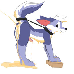 anthro bodily_fluids collar fluffy_butt fur genital_fluids genitals male penis pink_ears raised_tail solo tail urinal urine urine_on_ground watersports wet wet_body wet_fur tidnex riko_(tidnex) canid canine fox mammal hi_res