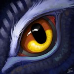 ambiguous_gender blue_body blue_feathers blue_fur close-up extreme_close-up eyelashes feathers feral fur glistening glistening_eyes grey_sclera pupils reflection slit_pupils solo yellow_eyes shufflefur 1:1 digital_media_(artwork) digital_painting_(artwork) hi_res signature