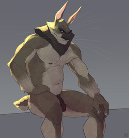 anthro flaccid genitals humanoid_genitalia humanoid_penis looking_at_viewer male musclegut muscular muscular_anthro muscular_male neck_tuft nude penis short_tail sitting solo tail tuft whiskers roamingthrough hare lagomorph leporid mammal hi_res
