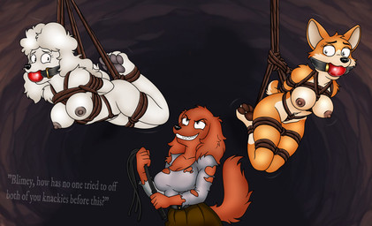 4_toes 5_fingers ankles_tied anthro anthrofied ball_gag barely_visible_genitalia barely_visible_vulva bdsm black_nose black_pawpads bondage bound breasts captured cave cleavage clothed clothed_anthro clothed_female clothing evil_grin feet female fingers fur gag gagged genitals grin group hair hands_behind_back hindpaw humanoid_hands kinbaku multicolored_body multicolored_fur navel nipples nude nude_anthro nude_female pawpads paws red_body red_fur restraints rope rope_bondage rope_harness smile suspension suspension_bondage tail tan_body tan_fur text toes torn_clothing trio two_tone_body two_tone_fur vulva white_body white_fur white_hair folwilliar housebroken cherry_(housebroken) elsa_(housebroken) honey_(housebroken) bird_dog canid canine canis domestic_dog herding_dog hunting_dog irish_setter mammal pastoral_dog poodle setter welsh_corgi english_text hi_res story story_in_description