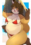 anthro beach big_breasts bikini blush border breasts brown_body brown_fur brown_hair clothed clothing day eyebrows eyes_closed feet female female_anthro fingers fur hair hat headgear headwear kemono long_hair multicolored_body multicolored_fur navel open_mouth outside overweight overweight_anthro overweight_female pawpads red_bikini red_clothing red_swimwear seaside skimpy_bikini solo standing string_bikini sun_hat swimwear thick_thighs toes two-piece_swimsuit under_boob water white_body white_border white_fur akitaka canid canine mammal absurd_res hi_res