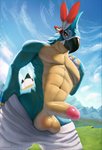 2020 abs anthro avian balls beak big_balls big_penis breath_of_the_wild clothed clothing cloud detailed_background digital_media_(artwork) genitals glans grass hi_res humanoid_genitalia humanoid_penis kass_(tloz) looking_at_viewer male mountain navel nintendo nipples non-mammal_balls outside penis plant rito sky smile solo text the_legend_of_zelda thousandfoldfeathers topless url
