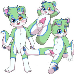 4_fingers 4_toes animal_genitalia animal_penis anthro balls biped blue_ears blue_eyebrows blue_eyes blue_nose blue_pawpads blue_tail blush blush_lines canine_genitalia canine_penis cheek_tuft chest_tuft dipstick_ears ear_markings erection eyebrows facial_tuft fangs feet fingerpads fingers flaccid foreskin genitals glans glistening glistening_eyes gloves_(marking) green_tail hands_behind_head heterochromia hindpaw humanoid_genitalia humanoid_penis knot knotted_penis leg_markings looking_at_viewer male male_anthro markings mismatched_genitalia mismatched_humanoid_penis mismatched_penis mole_(marking) mouth_closed multicolored_ears multicolored_tail navel nipples nude nude_anthro nude_male one_ear_up open_mouth open_smile orange_eyes partially_retracted_foreskin pawpads paws penis pink_glans pink_penis purple_inner_ear sheath simple_background sitting smile smiling_at_viewer socks_(marking) solo standing tail teeth toes tongue tuft white_background white_balls white_ear_tips white_nipples white_penis white_tail young young_anthro young_male choki canid canine canis domestic_dog mammal 1:1 2026 digital_media_(artwork) hi_res