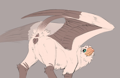 animal_genitalia animal_vulva anus beak brown_body brown_feathers butt digitigrade feathered_wings feathers feline_genitalia feline_vulva female feral genitals green_eyes grey_background presenting presenting_anus presenting_hindquarters presenting_vulva quadruped raised_tail scuted_arms scutes simple_background solo tail vulva white_body white_feathers wings flamespitter mythology avian gryphon mythological_avian mythological_creature 2026