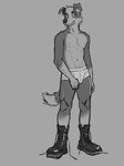 anthro black_nose boots briefs bulge clothing footwear grey_background male navel nipples shoelaces shoes simple_background smile solo underwear white_briefs white_clothing white_underwear drdalefox border_collie canid canine canis collie domestic_dog herding_dog mammal pastoral_dog sheepdog 3:4 greyscale hi_res monochrome