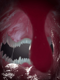 ambiguous_gender ambiguous_pred ambiguous_prey anthro bodily_fluids first_person_view glurk looking_out mouth_shot open_mouth oral_vore prey_pov reverse_mouth_shot saliva saliva_on_face saliva_on_screen saliva_on_tongue saliva_string solo swallowing teasing throat unseen_pred uvula vore hectic_hybrid_(artist) mythology khael dragon mythological_creature mythological_scalie scalie 3:4 3d_(artwork) 3d_animation animated digital_media_(artwork) loop