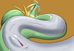 anus female feral genitals larger_female pussy serpentine size_difference solo poisonsneksoffie nintendo pokemon generation_5_pokemon pokemon_(species) serperior absurd_res hi_res