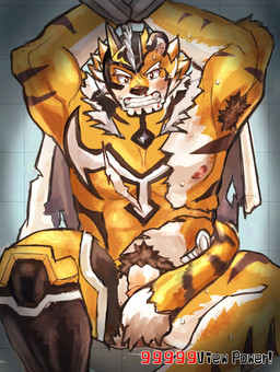 anthro armpit_hair barazoku bdsm blood bodily_fluids body_hair bodysuit captured clothing covering covering_self embarrassed genitals male muscular muscular_anthro muscular_male nipples pecs penis penis_base pubes skinsuit solo spandex superhero tail tail_between_legs tight_clothing torn_clothing suamaru0808 lifewonders live_a_hero ryekie_(live_a_hero) felid mammal pantherine tiger 2020 hi_res