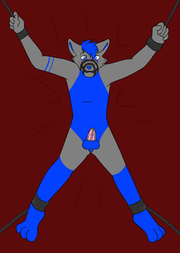 anthro balls bdsm blush bondage bound chastity_cage chastity_cage_only chastity_device chastity_device_only cuff_(restraint) gag gagged genitals male metal_chastity_cage muzzle_(object) muzzled nude penis restraints simple_background solo spread_eagle wearing_chastity_cage wearing_chastity_device sebbastian1 razzy_husky canid canine canis domestic_dog husky mammal nordic_sled_dog spitz 2018 digital_media_(artwork) hi_res