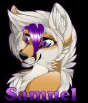 ambiguous_gender anthro fur hair simple_background smile solo text transparent_background gard3r canid canine fox mammal samuel_(disambiguation) alpha_channel english_text