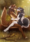 2017 4_toes 5_fingers amur anthro artist_name black_body black_fur black_hair breasts brown_body brown_fur brown_hair canid canine canis digital_media_(artwork) domestic_dog duo eye_contact eyebrow_through_hair eyebrows eyelashes feet female female/female fingers fur grey_eyes hair hi_res husky looking_at_another mammal multicolored_body multicolored_fur multicolored_hair nordic_sled_dog nude outside selina_zifer spitz toes translucent translucent_hair two_tone_body two_tone_fur two_tone_hair waist_grab white_body white_fur white_hair wolf