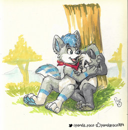 anthro armpit_sniffing black_nose blue_eyes blue_hair duo fangs forced fur glistening glistening_eyes grey_body grey_fur hair head_tuft kerchief logo male male_anthro markings musk neckerchief neckwear nude open_mouth open_smile outside pink_tongue red_kerchief red_neckerchief short_hair sitting smile sniffing striped_markings striped_tail stripes tail tail_markings teeth tongue tuft white_body white_fur young young_anthro young_male pandapaco cosmicwuffy parinton bear canid canine giant_panda mammal artist_logo signature