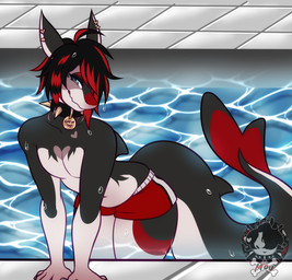 alternate_species alternative_fashion anthro black_body black_hair black_scales closed_smile clothing collar countershade_arms countershade_ears countershade_face countershade_legs countershade_scales countershade_tail countershade_torso countershading dorsal_fin emo femboy fin front_view hair hair_over_eye half-closed_eyes highlights_(coloring) male mouth_closed narrowed_eyes one_eye_obstructed partially_submerged poolside red_highlights scales smile solo spiked_collar spikes swimming_trunks swimwear tail tail_fin wavy_mouth white_body white_countershading white_scales moucchiato moucchiato_(character) aquatic fish shark portrait three-quarter_portrait andromorph_(lore) trans_(lore) trans_man_(lore)