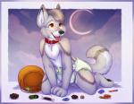 anthro biped black_nose candy clothing collar dessert diaper food fur kneeling looking_up male multicolored_body multicolored_fur muzzle_scabs open_mouth orange_eyes solo tongue tongue_out young applepup randall_(draugr) canid canine canis mammal wolf 2015