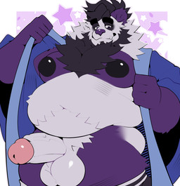 anthro balls belly black_nipples butt chest_tuft clothing footwear foreskin fur genitals hair looking_down male multicolored_body multicolored_fur nipples penis purple_body purple_eyes robe seductive slightly_chubby socks solo tuft undressing white_body neku bruno_(panfluff) bear giant_panda mammal absurd_res hi_res father_(lore) parent_(lore)