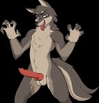 5_fingers animal_genitalia animal_penis anthro balls biped canine_genitalia canine_penis claws erection finger_claws fingers fur genitals grey_body grey_fur knot looking_at_viewer male penis red_penis sharp_teeth simple_background solo standing teeth tongue tongue_out transparent_background teabrush third-party_edit borko_(barkwoofawoo) canid canine canis mammal wolf absurd_res alpha_channel color_edit colored digital_drawing_(artwork) digital_media_(artwork) hi_res portrait three-quarter_portrait
