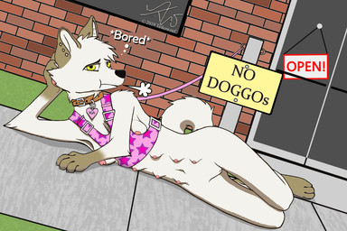 8_breasts 8_nipples anthro belly bored breasts casual_nudity clothed clothing collar curled_tail diegetic_signature female female_anthro footwear genitals gloves gloves_(marking) hand_behind_head handwear harness humor jewelry leash leg_markings legs_together legwear looking_at_viewer lying markings mostly_nude mostly_nude_anthro mostly_nude_female multi_breast multi_nipple name_on_collar navel nipple_slip nipples one_breast_out paws piercing public public_nudity skimpy slim slim_anthro slim_female small_breasts socks socks_(marking) solo supernumerary_breasts tail text thigh_gap thin_calves thin_legs thin_thighs vulva yellow_eyes teikowouf_(artist) canid canine canis domestic_dog husky mammal nordic_sled_dog spitz 2019 character_name dated hi_res signature