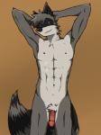 abs ariffrazalin armpits black_nose blue_eyes flaccid fur grey_fur looking_at_viewer male navel nude penis raccoon solo standing zapher
Rating: Explicit
Score: 1
User: sai_jay
Date: February 28, 2014