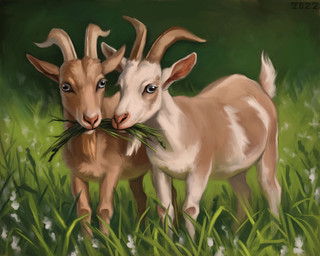 blue_eyes brown_body brown_fur duo eating_grass feral flower fur grass horn multicolored_body multicolored_fur pink_nose plant quadruped short_tail tail tan_body tan_fur two_tone_body two_tone_fur white_body white_fur alexpahomov alpine_goat bovid caprine domestic_goat goat mammal 2022