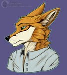 anthro black_nose blue_clothing blue_shirt blue_topwear clothing fur green_eyes orange_body orange_fur shirt topwear white_body white_fur ej_artworkz_(artist) alexander_the_fox canid canine fox mammal absurd_res hi_res