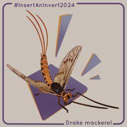 4_wings 6_limbs ambiguous_gender border brown_eyes feral glistening glistening_body grey_background hashtag insect_wings multi_limb multi_wing orange_body purple_border segmented_tail simple_background solo tail text wings cuttledreams arthropod drake_mackerel insect mayfly 1:1 2024 dated digital_drawing_(artwork) digital_media_(artwork) english_text species_name