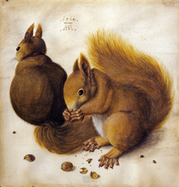 1512 5_toes ambiguous_feral ambiguous_gender brown_body brown_fur claws collar duo feet feral food fruit fur long_tail nut_(fruit) on_hind_legs plant quadruped simple_background sitting tail toe_claws toes whiskers albrecht_durer mammal rodent sciurid tree_squirrel 16th_century absurd_res ancient_art dated detailed hi_res painting_(artwork) signature traditional_media_(artwork) traditional_painting_(artwork) traditional_watercolor_(artwork) watercolor_(artwork)