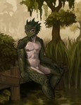 abs anthro black_sclera casual_nudity fin flaccid foot_in_water genitals green_body green_scales head_fin horn male nipples nude partially_submerged penis penis_base pier scales sitting solo swamp ethrk microsoft the_elder_scrolls argonian scalie hi_res