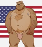 american_flag anthro balls beard belly body_hair canton chest_hair facial_hair flaccid flag flag_background foreskin genitals hair hands_on_hips humanoid_genitalia humanoid_penis looking_at_viewer male moobs musclegut muscular muscular_anthro muscular_male narrowed_eyes navel nipples nude overweight overweight_anthro overweight_male patriotism penis politics pubes simple_background solo standing united_states_of_america vincethetiger bear brown_bear mammal ursine 2021 absurd_res hi_res