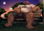 5_fingers 5_toes anthro baseball_cap beard bench biceps big_muscles big_pecs black_nose body_tuft bottomwear brown_body brown_fur brown_hair claws clothed clothing detailed_background dusk facial_hair facial_tuft feet fingers fur grass grey_eyes hair hat headgear headwear lights looking_forward male moon muscular muscular_anthro muscular_legs muscular_male muscular_thighs mustache outside pecs plant pubes shirt shorts sitting sky solo street_lamp t-shirt toes topwear tree tuft twilight adios scruffy_(scruffybeast) bear brown_bear mammal ursine 2023 absurd_res hi_res