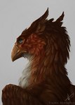 ambiguous_gender beak blue_eyes feral solo morsylvia mythology granistad avian gryphon mythological_avian mythological_creature digital_media_(artwork) hi_res