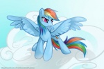 blue_body blue_feathers blue_fur cloud cutie_mark day feathered_wings feathers female feral fur hair multicolored_hair multicolored_tail outside purple_eyes rainbow_hair rainbow_tail sky skyscape smile solo tail text wing_boner wings dirtiran keyfeathers friendship_is_magic hasbro my_little_pony mythology rainbow_dash_(mlp) equid equine mammal mythological_creature mythological_equine pegasus 2013 3:2 english_text signature