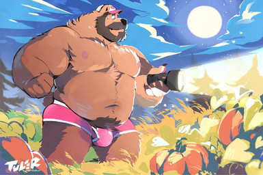 anthro barazoku beard belly briefs brown_body brown_fur bulge burly clothed clothing detailed_background facial_hair flashlight food fruit fur holding_flashlight holding_object light male moon moonlight musclegut muscular mustache night nipples outside overweight overweight_anthro overweight_male pecs pink_baseball_cap pink_briefs pink_clothing pink_underwear plant pubes pumpkin pumpkin_patch sky solo standing stocky topless topless_male underwear super-tuler scruffy_(scruffybeast) bear brown_bear mammal ursine hi_res