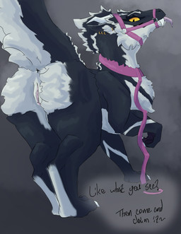 amber_eyes anus butt claws collar ear_piercing female feral fur genitals inner_ear_fluff leash leashed_collar looking_at_viewer looking_back muzzle_(object) muzzled piercing quadruped raised_tail solo tail text tongue tongue_out tuft vulva white_body white_fur wyrmiestwyrm mythology amber_(wyrmiestwyrm) dragon furred_dragon furred_scalie mythological_creature mythological_scalie scalie absurd_res hi_res