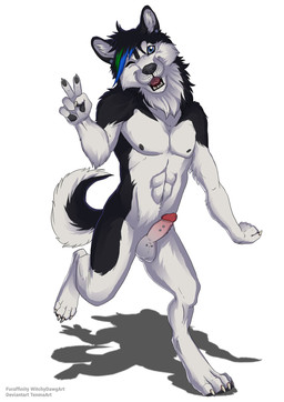anthro athletic balls blinking_at_viewer blue_eyes bottomwear clothing ear_piercing ear_ring erection femboy frenum_ladder frenum_piercing genital_piercing genitals gesture glans hafada_piercing hand_gesture ladder_piercing male miniskirt multiple_piercings nipples nude nude_male penis penis_piercing piercing ring_piercing scrotum_piercing simple_background skirt solo tail v_sign witchydawgart canid canine canis domestic_dog husky mammal nordic_sled_dog spitz hi_res