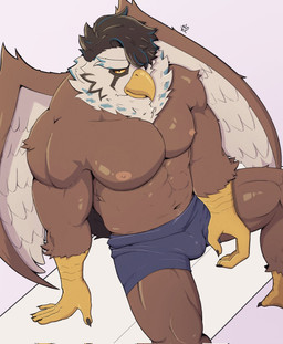 abs anthro beak briefs brown_body brown_feathers bulge clothing feathers feet male muscular muscular_anthro muscular_male navel nipples pecs sitting solo talons toes underwear wings arcanedylan xxl_woofia watanabe_hitoha_(xxl_woofia) accipitrid accipitriform avian bird eagle hi_res