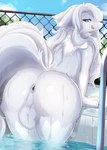 anthro anus backsack balls bedroom_eyes big_balls big_butt blue_eyes blue_sky bokeh butt cloud detailed_background dripping dripping_wet eyebrows femboy fence fluffy fluffy_tail fur genitals gloves_(marking) grey_anus hair highlights_(coloring) leaf leg_markings licking licking_lips long_hair looking_back male markings narrowed_eyes neck_tuft nude outside partially_submerged perineum pink_tongue poolside raised_eyebrow seductive skinny_dipping sky socks_(marking) solo tail tail_aside thick_thighs tongue tongue_out tuft wet wet_body white_balls white_body white_butt white_fur white_hair white_perineum kyuukon arctic_wolf canid canine canis mammal wolf 2025 digital_media_(artwork) digital_painting_(artwork) hi_res painting_(artwork)