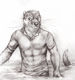abs anthro clothing fur male muscular muscular_anthro muscular_male partially_submerged shirt solo tail topwear water wet wet_clothing wet_shirt wet_topwear whiskers kenket lunden mammal mustelid otter 2014 monochrome traditional_media_(artwork)