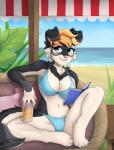 anthro beverage bikini biped book breasts canid canine canis clothed clothing domestic_dog female fur hair mammal outside puivei sitting smile solo swimwear underwear