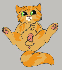 anus butt feral fur genitals male orange_body orange_fur penis presenting presenting_anus presenting_balls presenting_hindquarters presenting_penis solo worried worried_look young jinglecide warriors_(book_series) goldenpaw_(warriors) felid feline mammal